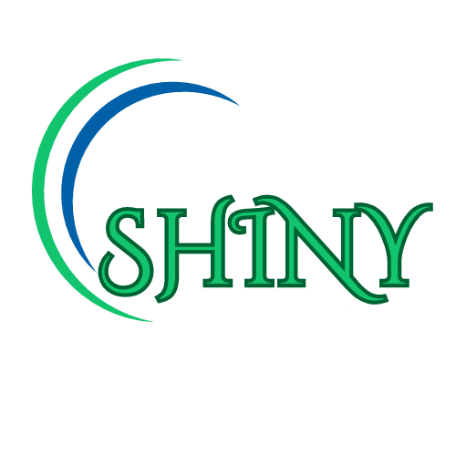 shinygroup.com.vn